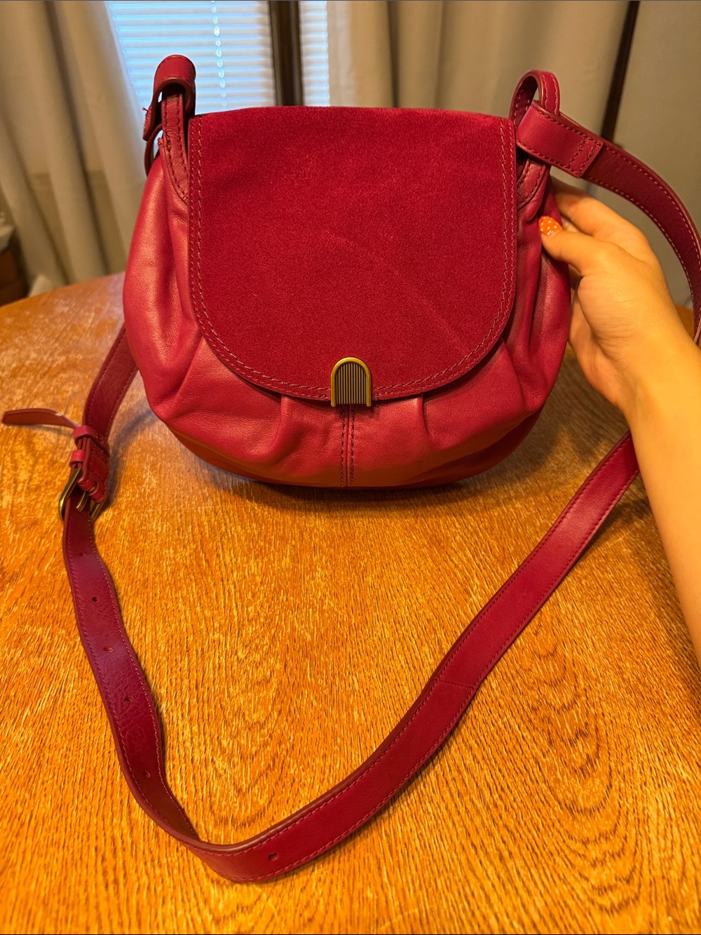 Fossil Berry Suede and Leather Crossbody Bag